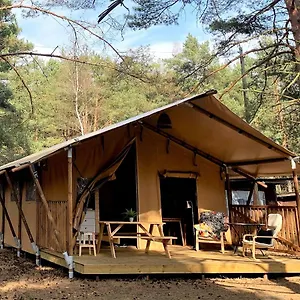Camp Bursztynowy Campsite Gdansk